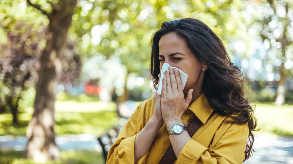 Why are pollen levels making hay fever so bad this year? Post feature image