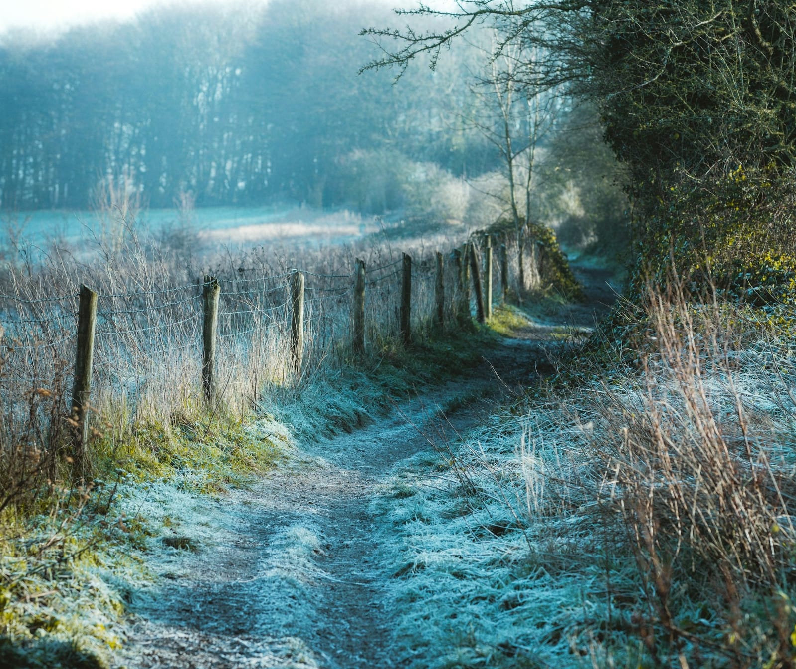 From December's Pause to January's Promise Post feature image